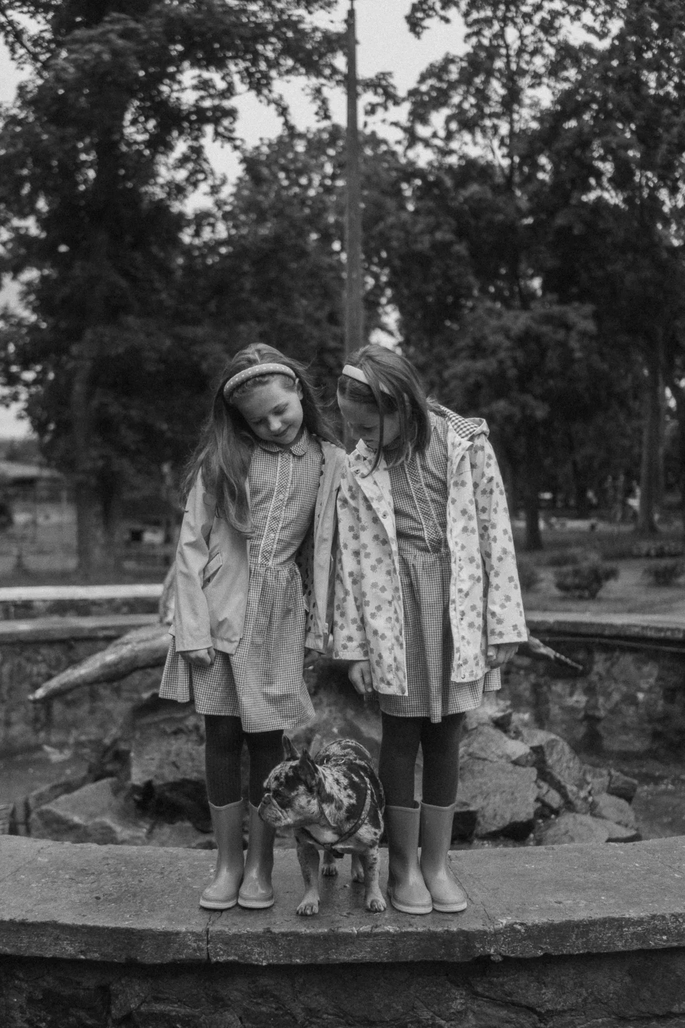 Дві дівчинки у дощовиках граються з собакою на подвір’ї, сімейна атмосфера, щасливі діти на природі.